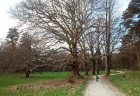 park3