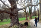 park4