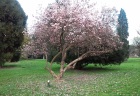 park8