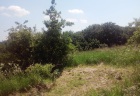 pocasie2 (17)