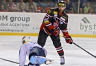 hokej_vyhra (26)