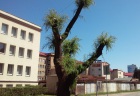 pocasie3