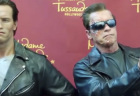 arnold4