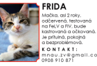 macka1