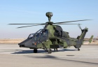 tiger3