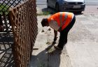 brigada4
