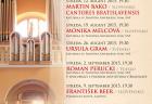 organovy festival bb 2015 plagat