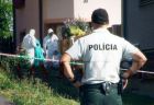 polomka1