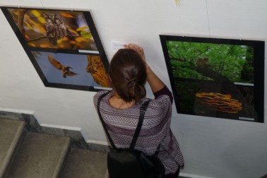 Hlasovanie_o_najlepšiu_fotografiu