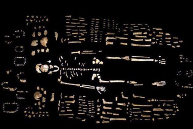 homo naledi2