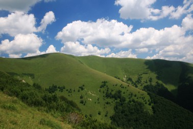 krizna