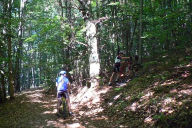 mtb1