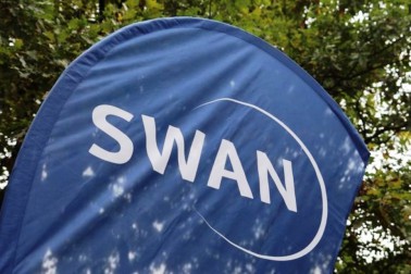 swan