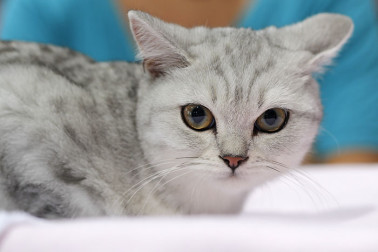 vystava-maciek-2013-10