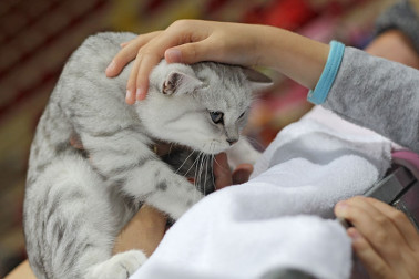 vystava-maciek-2013-11