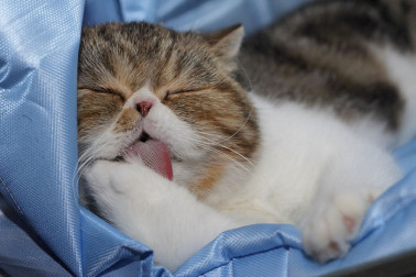 vystava-maciek-2013-15