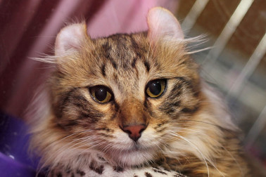 vystava-maciek-2013-9