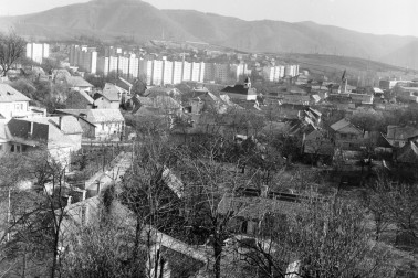 7. Sasova