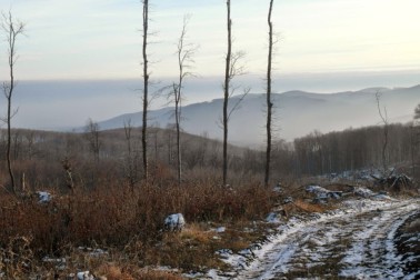 pocasie5