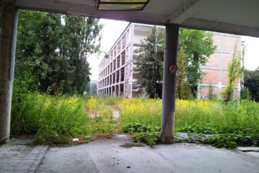 slovenka5