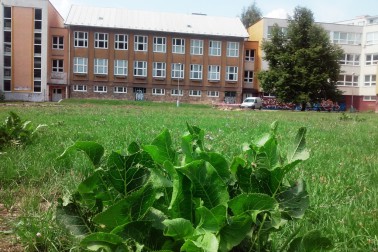 zs radvanska2