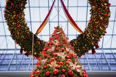 12295483_1173605452668640_2539831020163614065_n