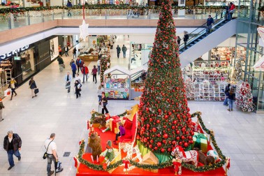 12299153_1173605252668660_1498916960270608908_n