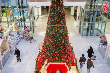 12308721_1173605242668661_2793120271634463567_n