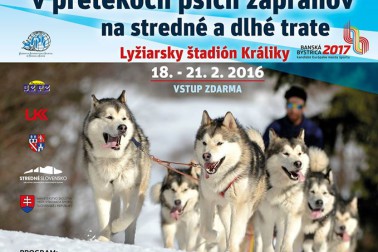 plagat psich zaprahov