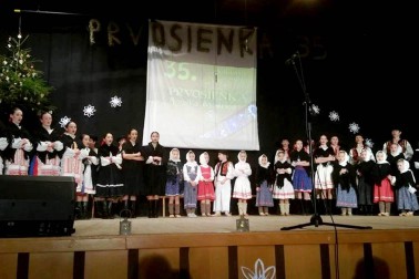prvosienka1