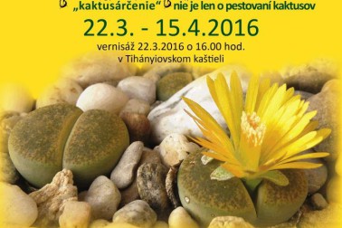 plagat kaktusy
