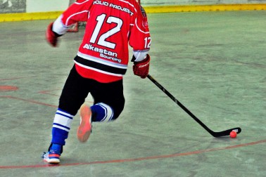 hokejbal5