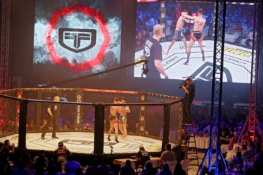 fight3