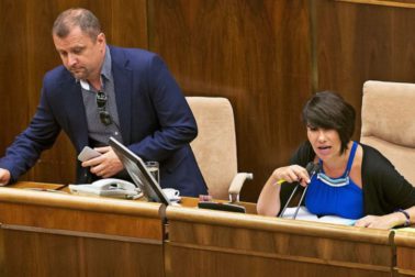 hrnciar a nicholsonova