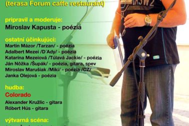 plagat ars poetica neosoliensis