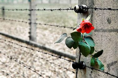 shoah1