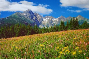 Tatry prívetivé-Karol Demuth-Dolina Kežmarskej Bielej vody-Rakúska poľana