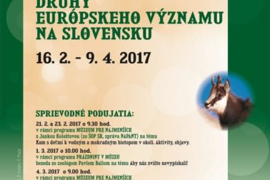 plagát DRUHY EURÓPSKEHO VÝZNAMU NA SLOVENSKU