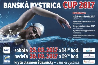 plagat-bb-cup-2017