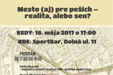 Plagat Mesto pre pesich