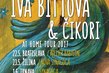 plagat iva bittova