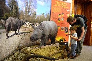 ilustračná_fotografia_01_výstava_ZOO_preťažená_Noemova_archa
