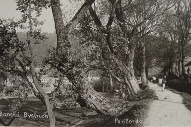 foncorda3