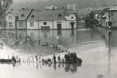uhlisko1