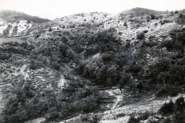 vymole4