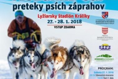 plagat visegrad cup kraliky