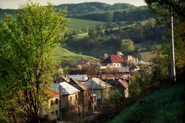 dubravica
