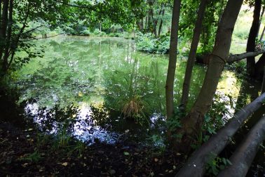 IMG_20180714_191117_resized_20180715_121351760