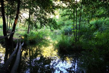 IMG_20180714_191124_resized_20180715_121407399