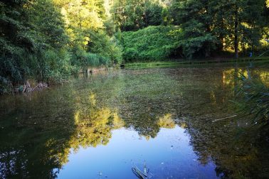 IMG_20180714_191201_resized_20180715_121425273